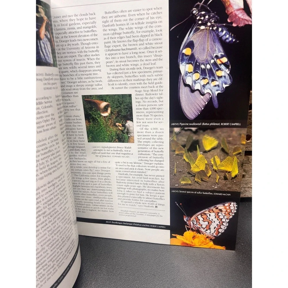 Arizona Highways August 1991 Billy the Kid Butterflies and Lava Fields